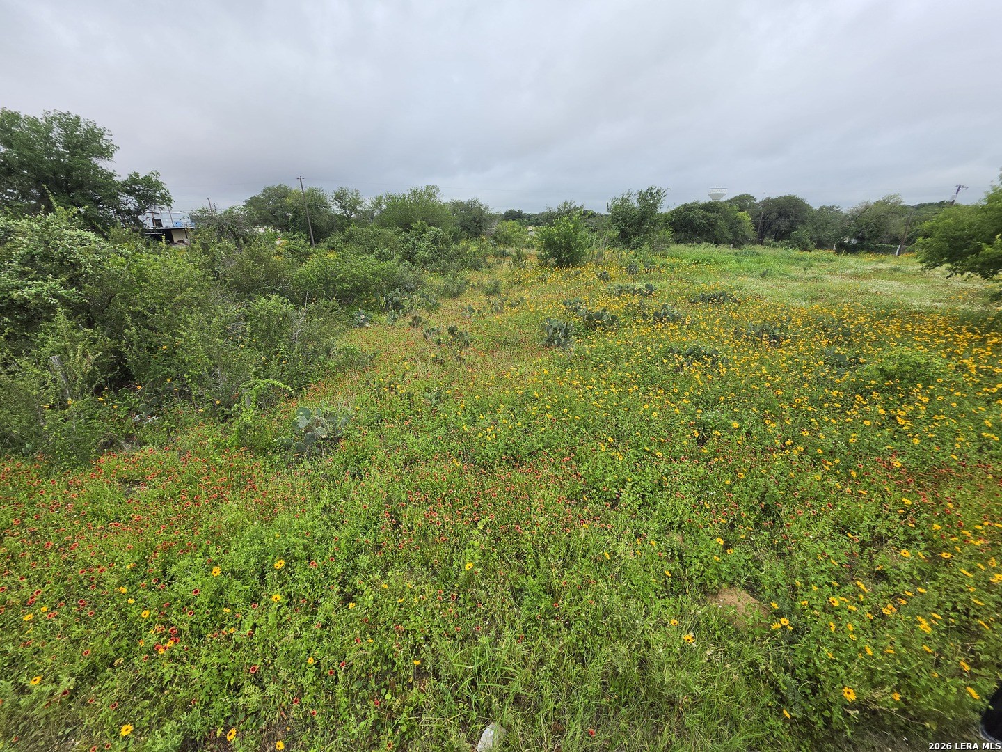 30 Wild Bee Drive Von Ormy TX 78073