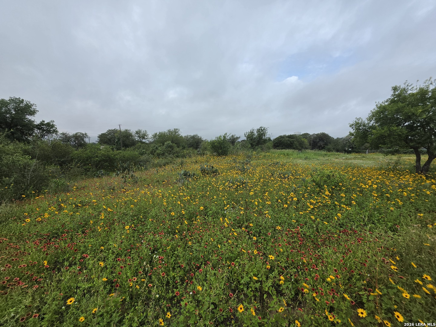 30 Wild Bee Drive Von Ormy TX 78073