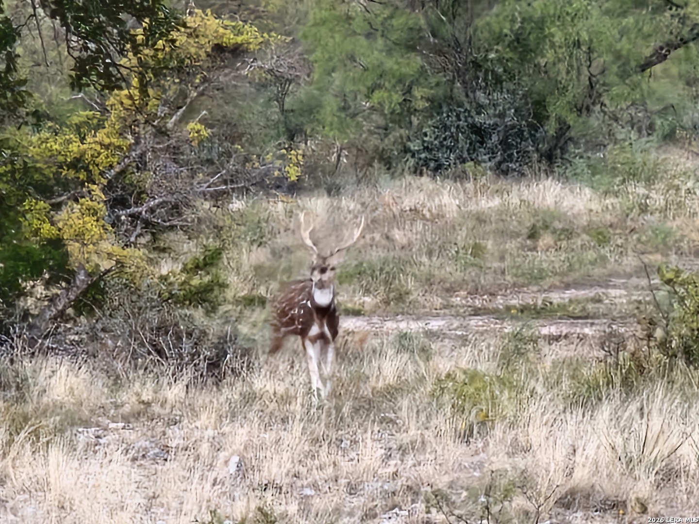 350 Sd 23110 Rocksprings TX 78880