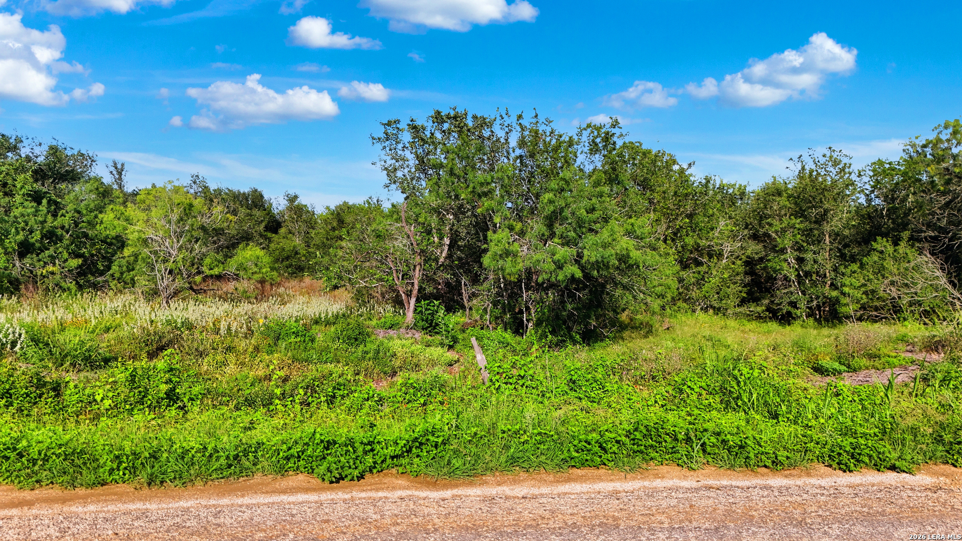 525 Marrou Road (Lot 4) Seguin TX 78155