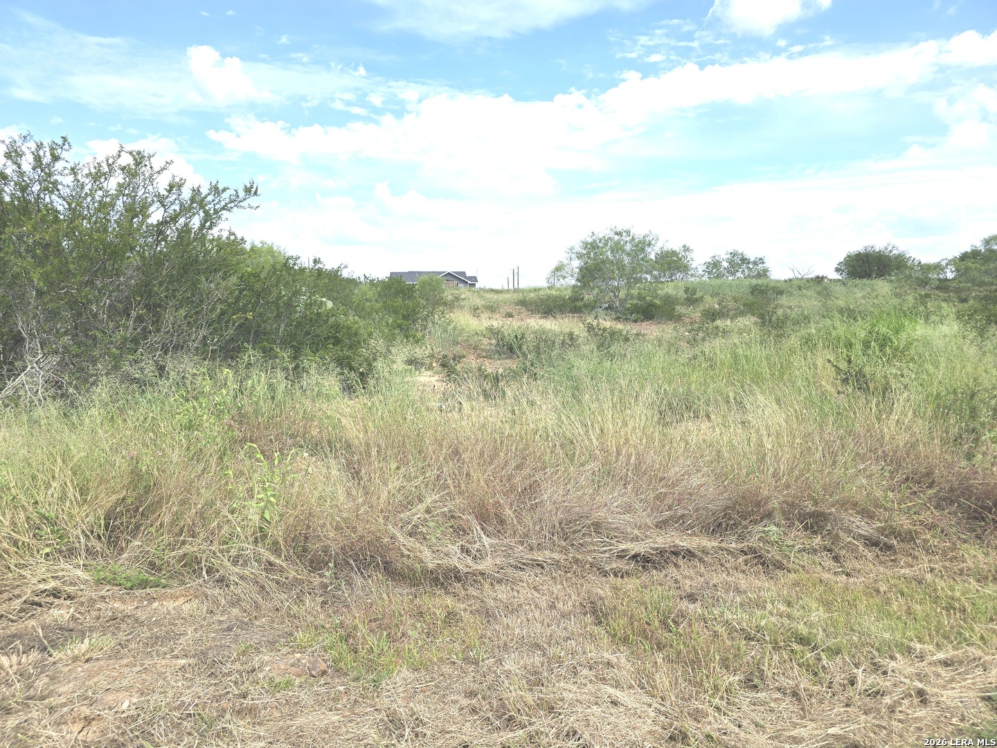 115 County Road 2666 Devine TX 78016