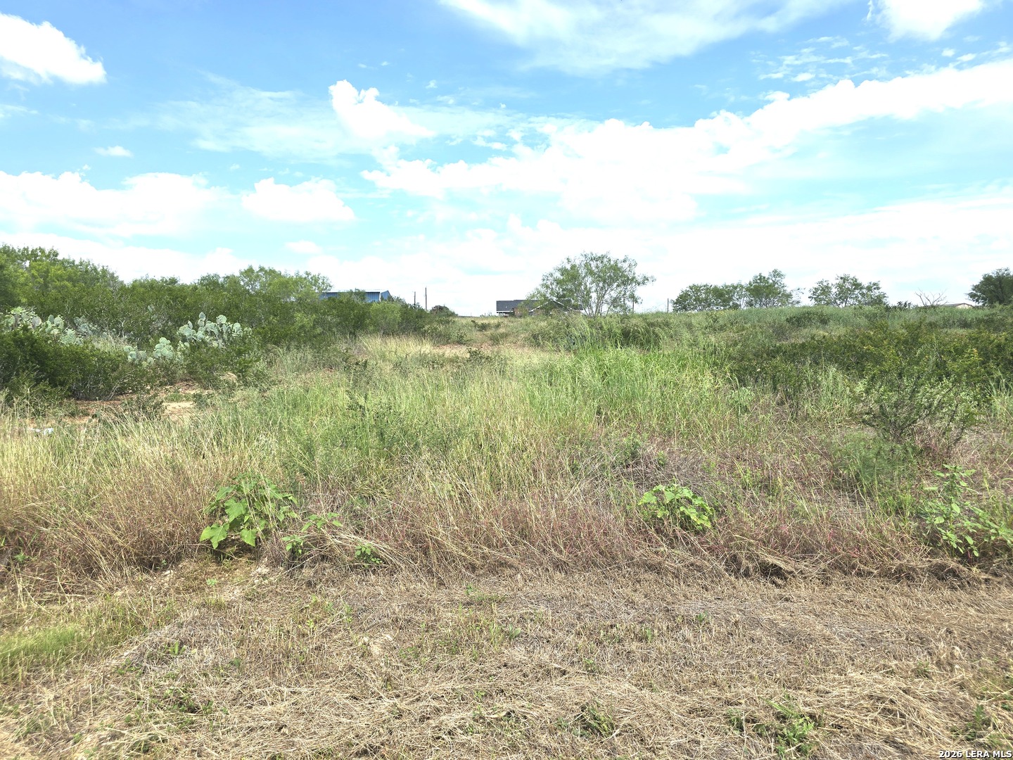 115 County Road 2666 Devine TX 78016