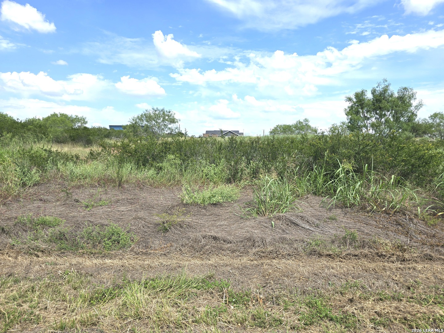 115 County Road 2666 Devine TX 78016