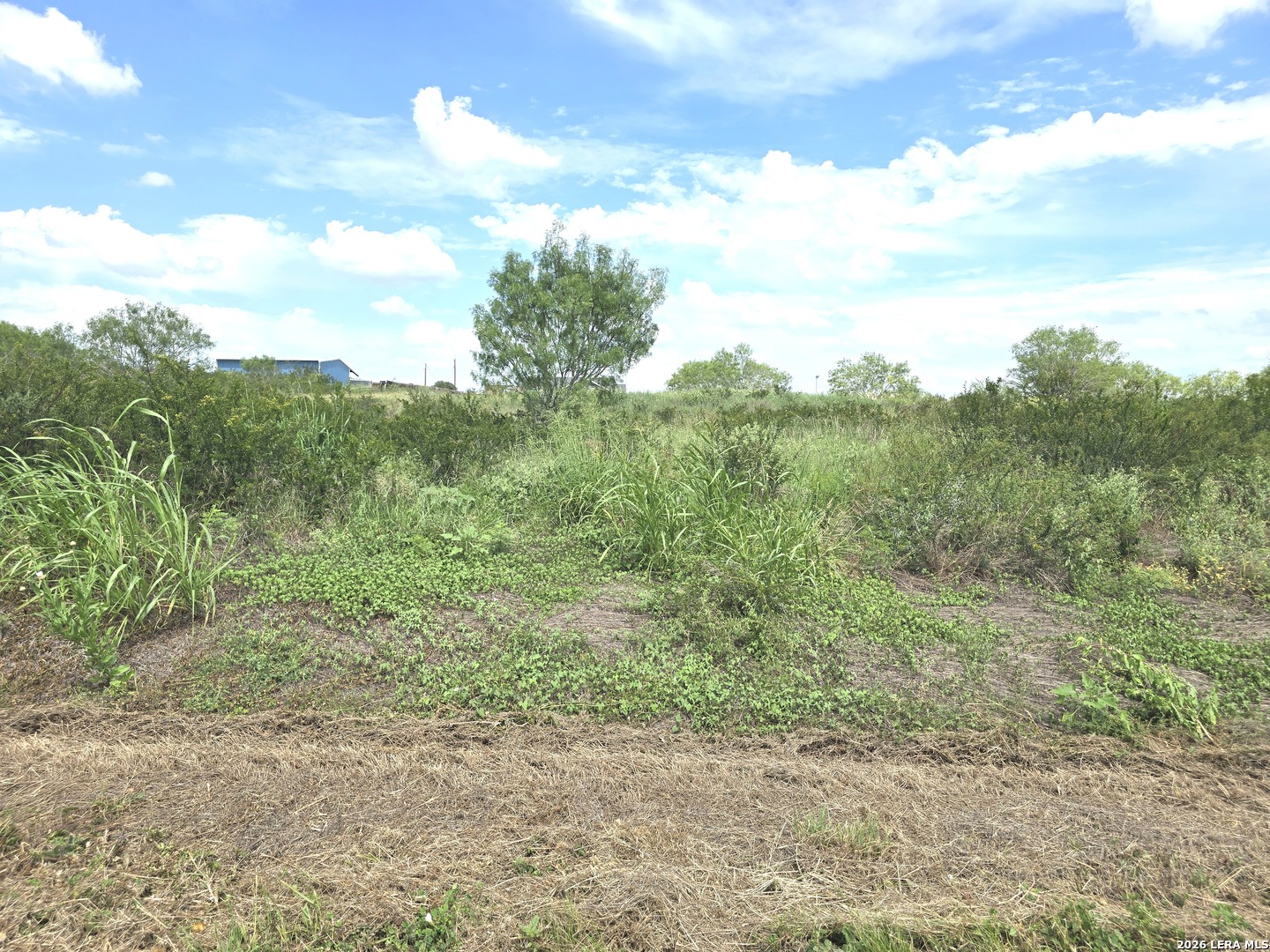 115 County Road 2666 Devine TX 78016