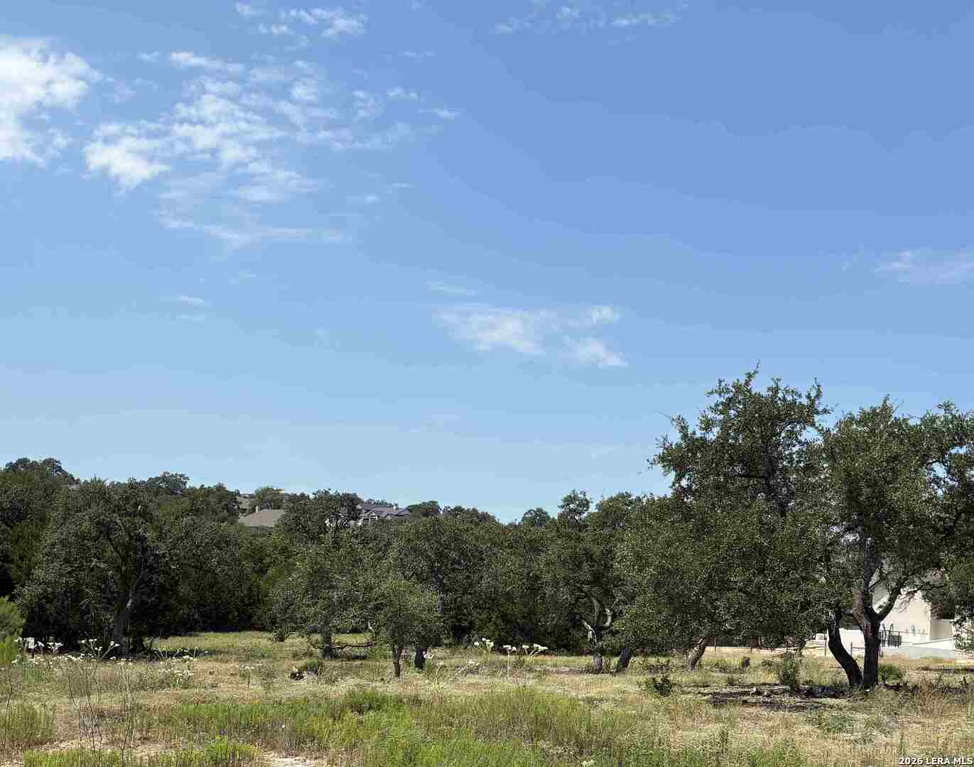 1205 Salt Lick Drive New Braunfels TX 78132
