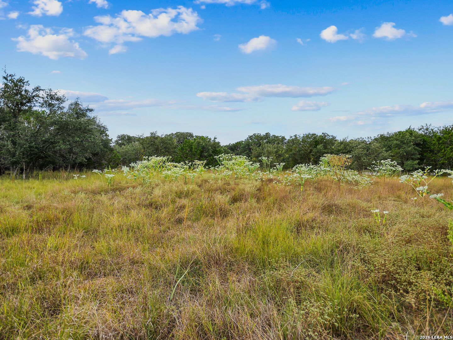 Tbd Hwy 46 / Madrona Ranch Road Pipe Creek TX 78063