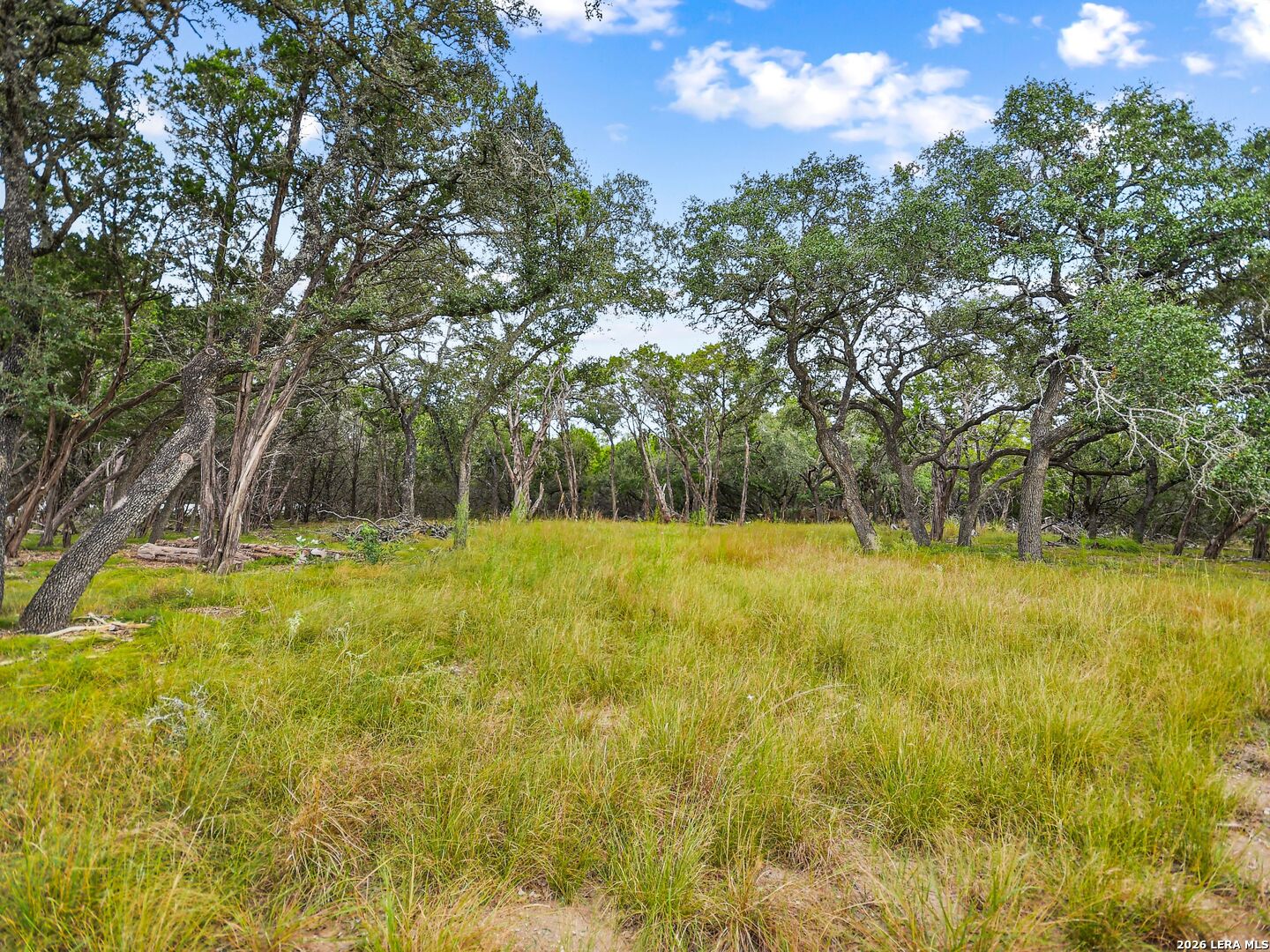 Tbd Hwy 46 / Madrona Ranch Road Pipe Creek TX 78063