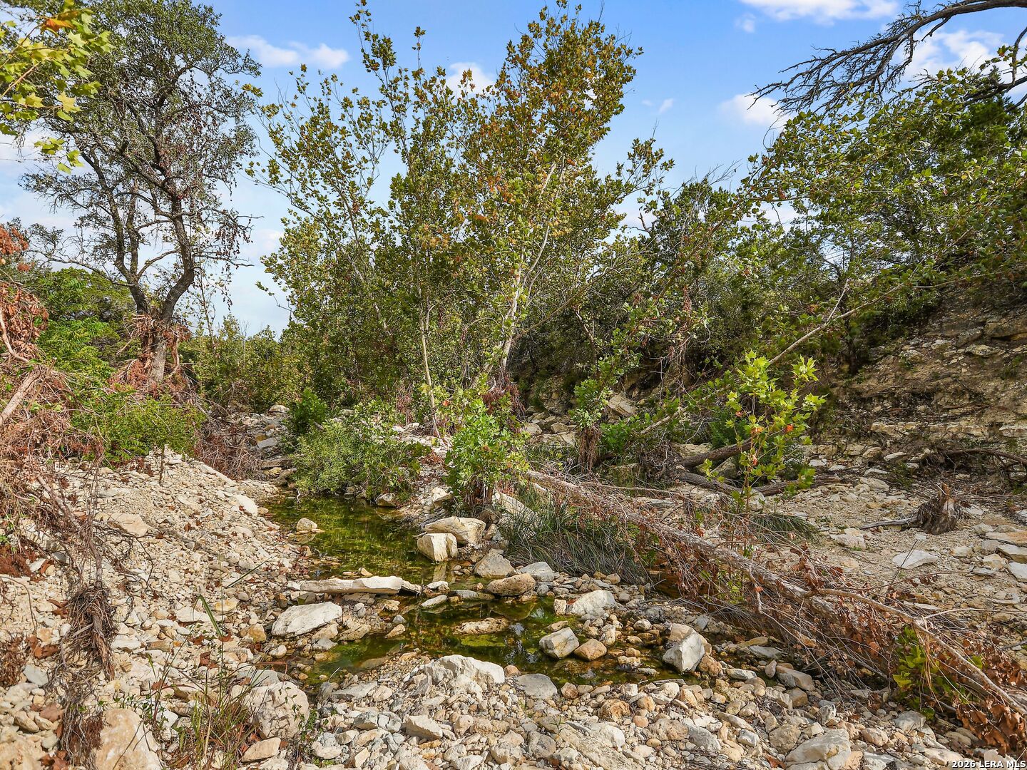 Tbd Hwy 46 / Madrona Ranch Road Pipe Creek TX 78063