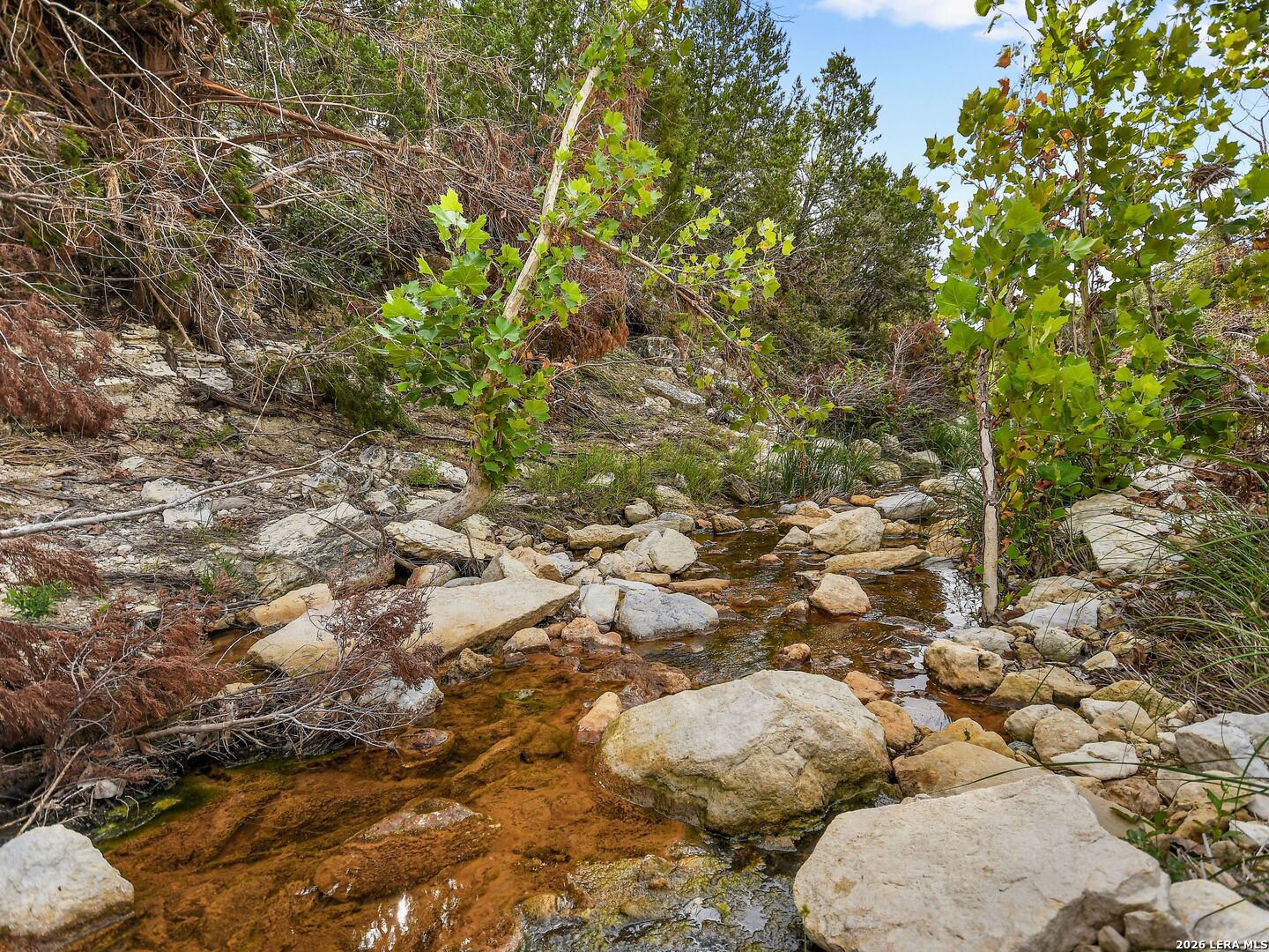 Tbd Hwy 46 / Madrona Ranch Road Pipe Creek TX 78063