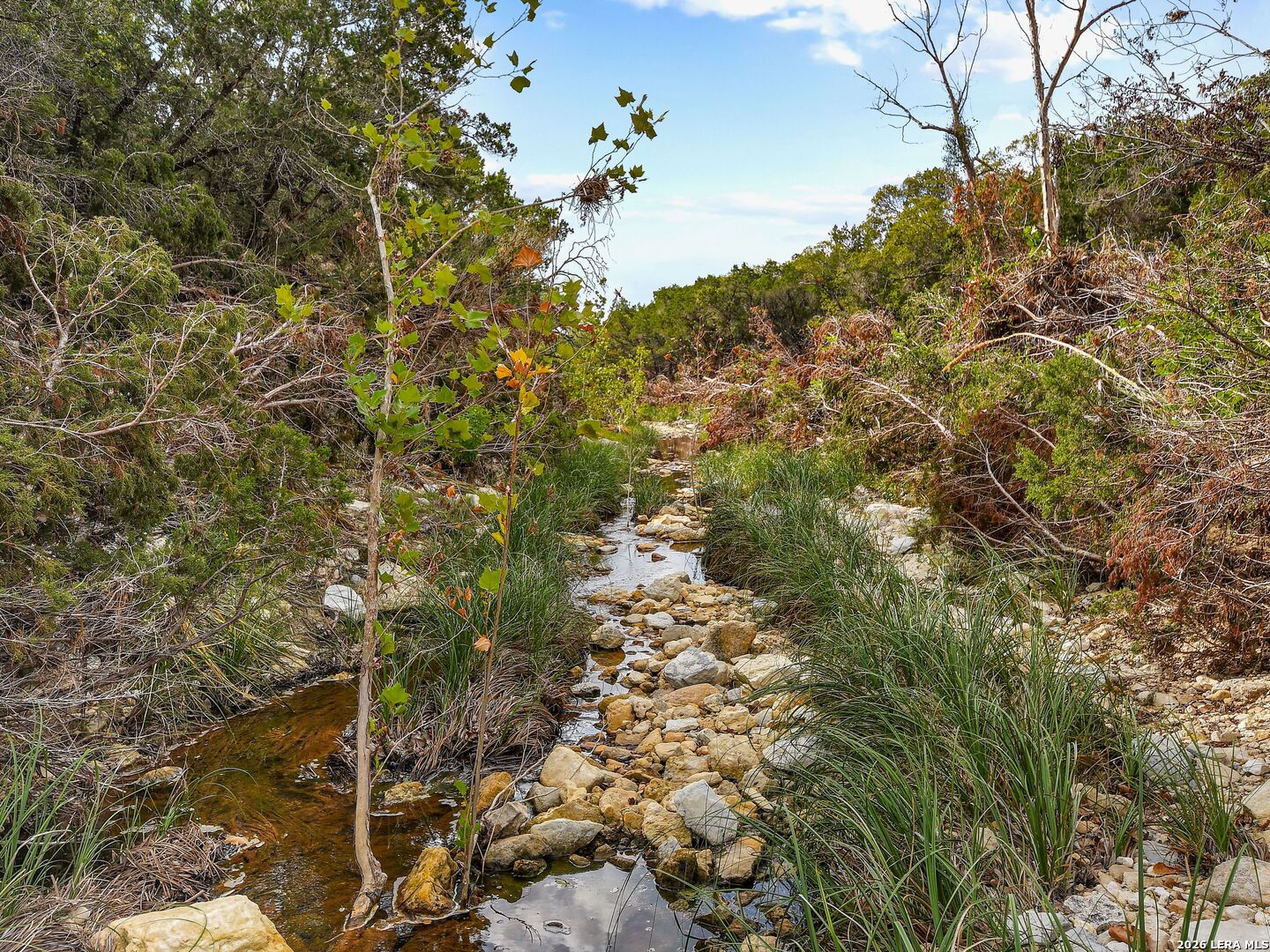 Tbd Hwy 46 / Madrona Ranch Road Pipe Creek TX 78063