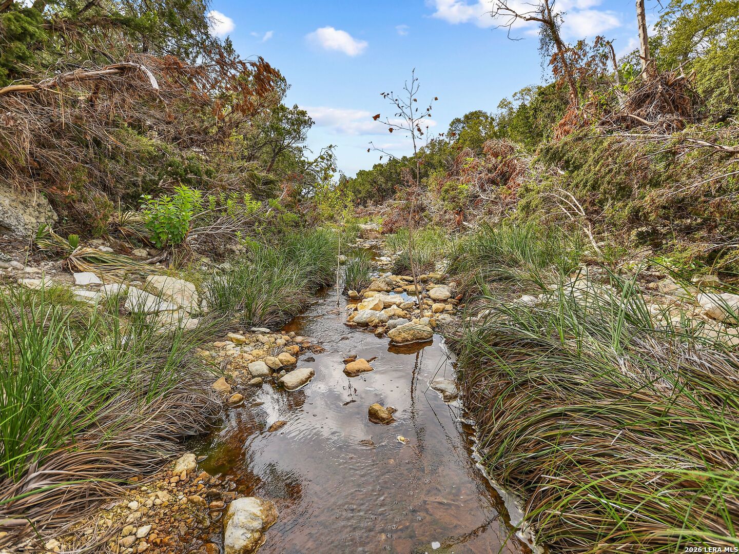 Tbd Hwy 46 / Madrona Ranch Road Pipe Creek TX 78063