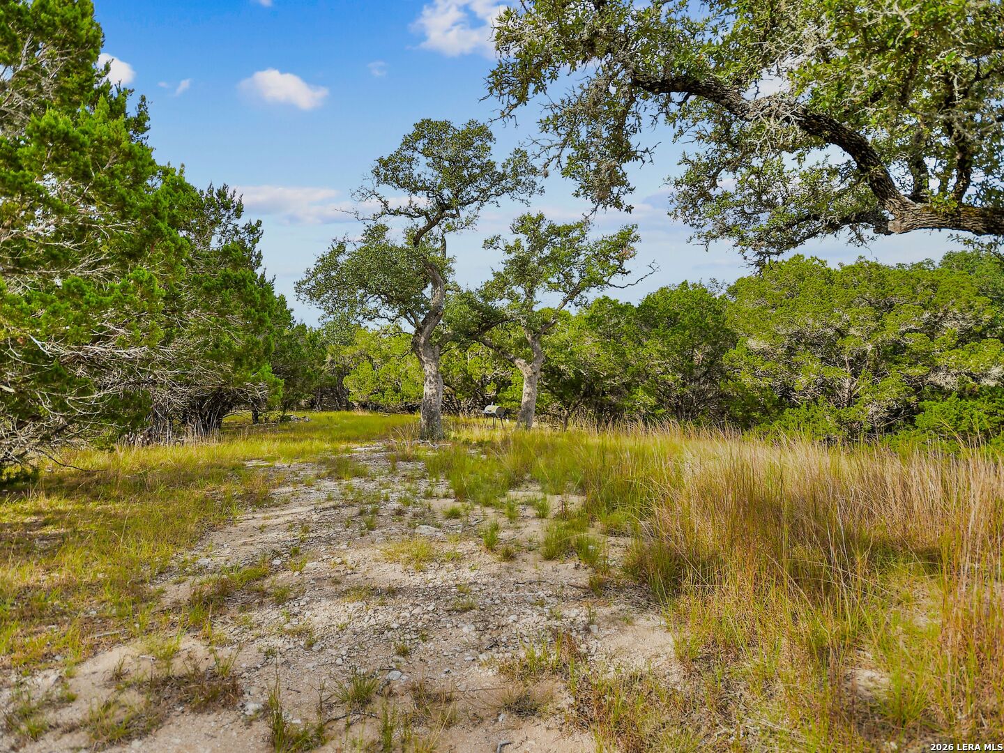 Tbd Hwy 46 / Madrona Ranch Road Pipe Creek TX 78063