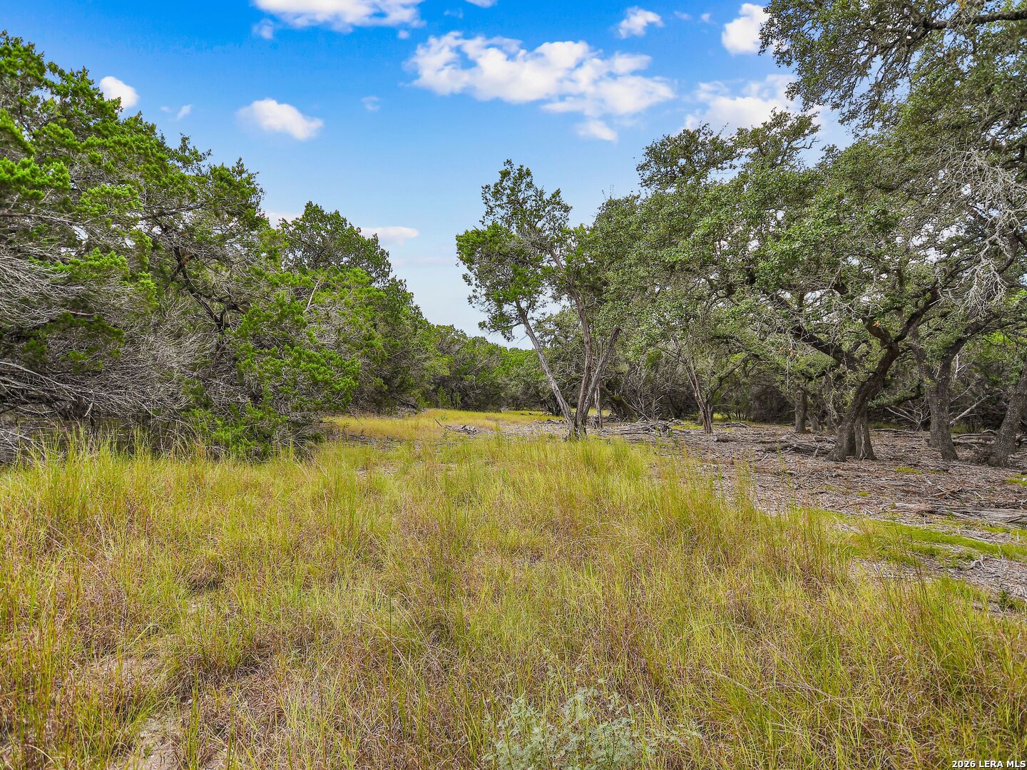 Tbd Hwy 46 / Madrona Ranch Road Pipe Creek TX 78063