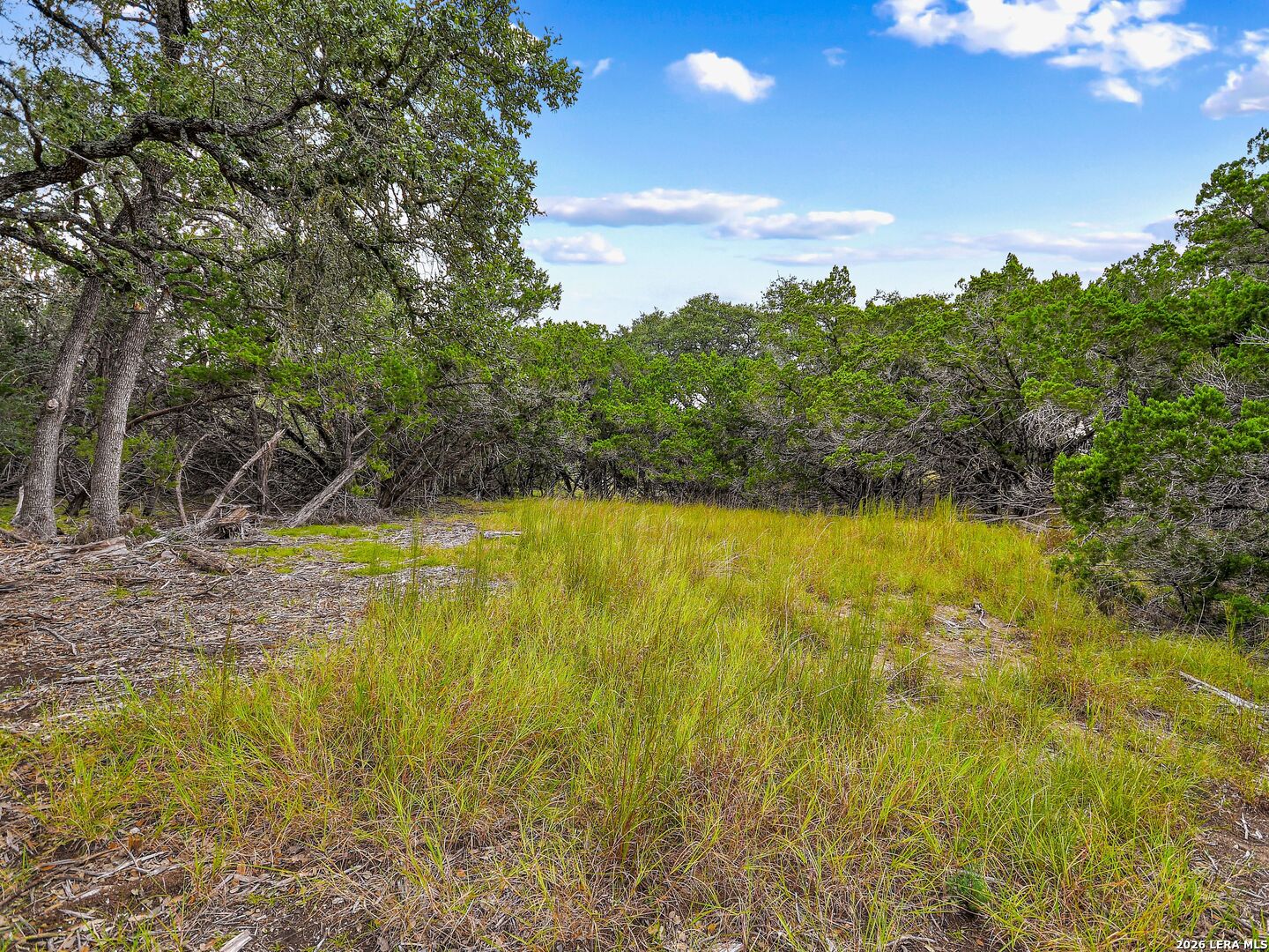 Tbd Hwy 46 / Madrona Ranch Road Pipe Creek TX 78063