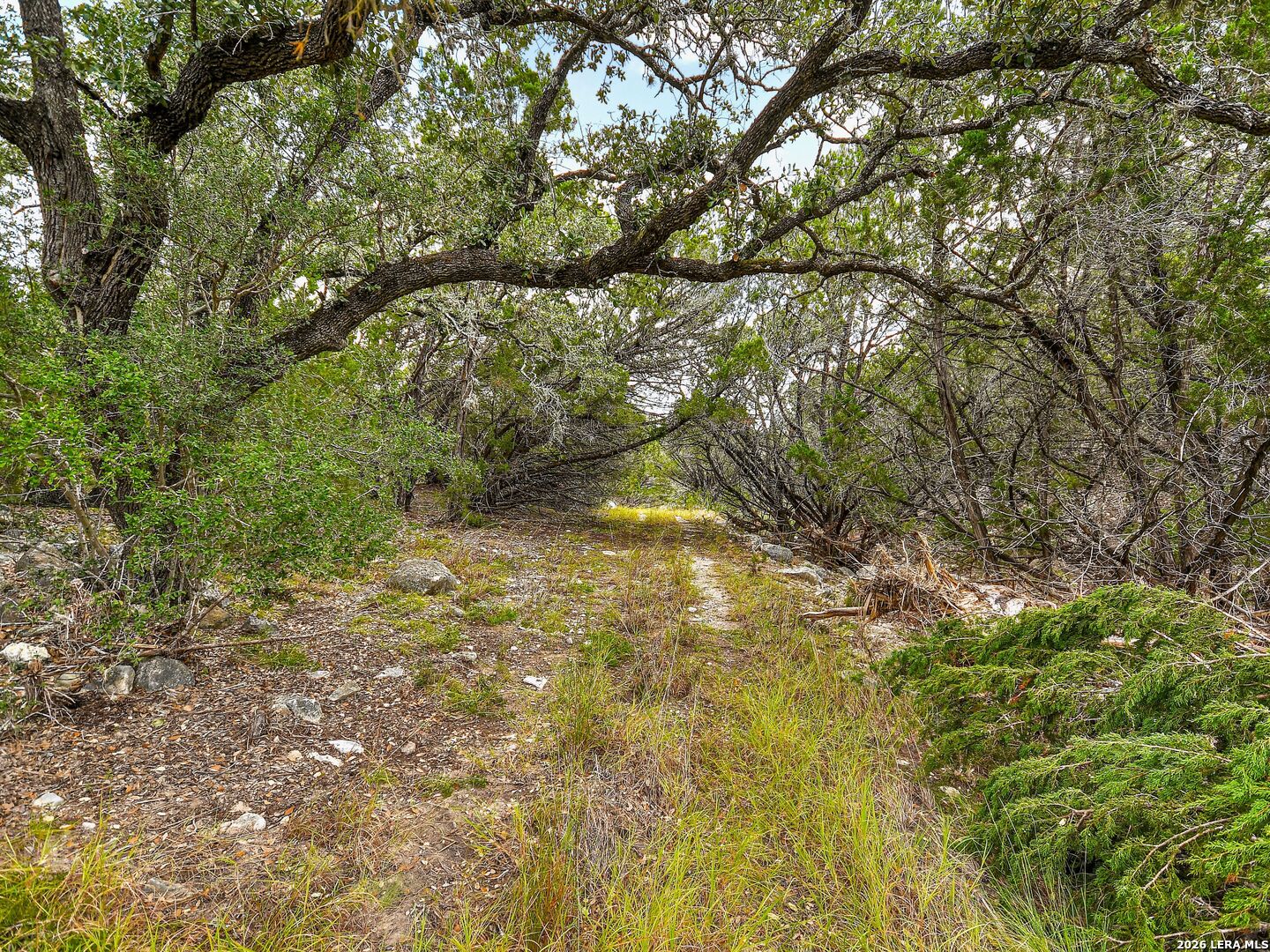 Tbd Hwy 46 / Madrona Ranch Road Pipe Creek TX 78063