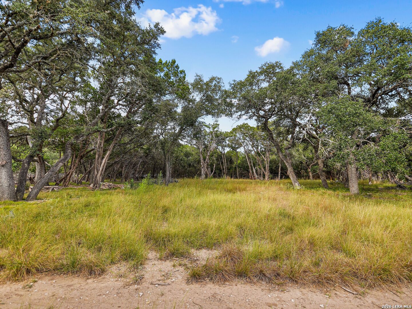 Tbd Hwy 46 / Madrona Ranch Road Pipe Creek TX 78063