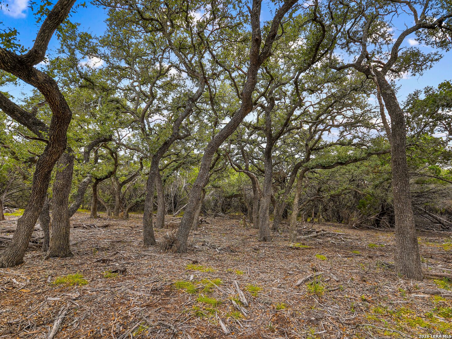 Tbd Hwy 46 / Madrona Ranch Road Pipe Creek TX 78063