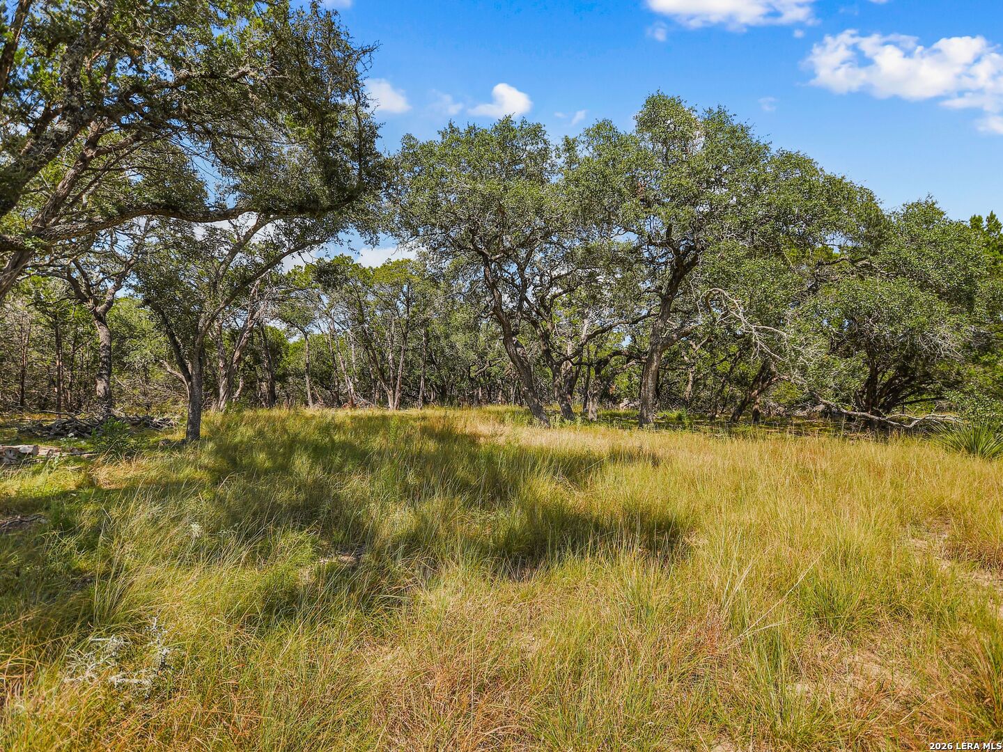 Tbd Hwy 46 / Madrona Ranch Road Pipe Creek TX 78063