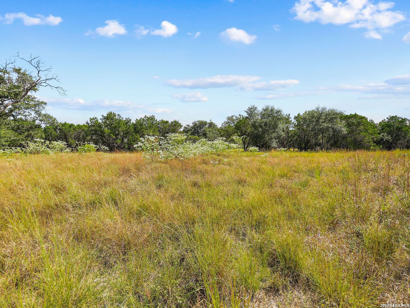 Tbd Hwy 46 / Madrona Ranch Road Pipe Creek TX 78063
