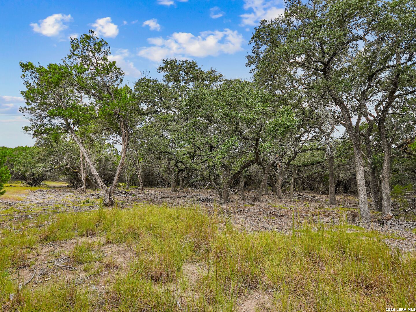 Tbd Hwy 46 / Madrona Ranch Road Pipe Creek TX 78063
