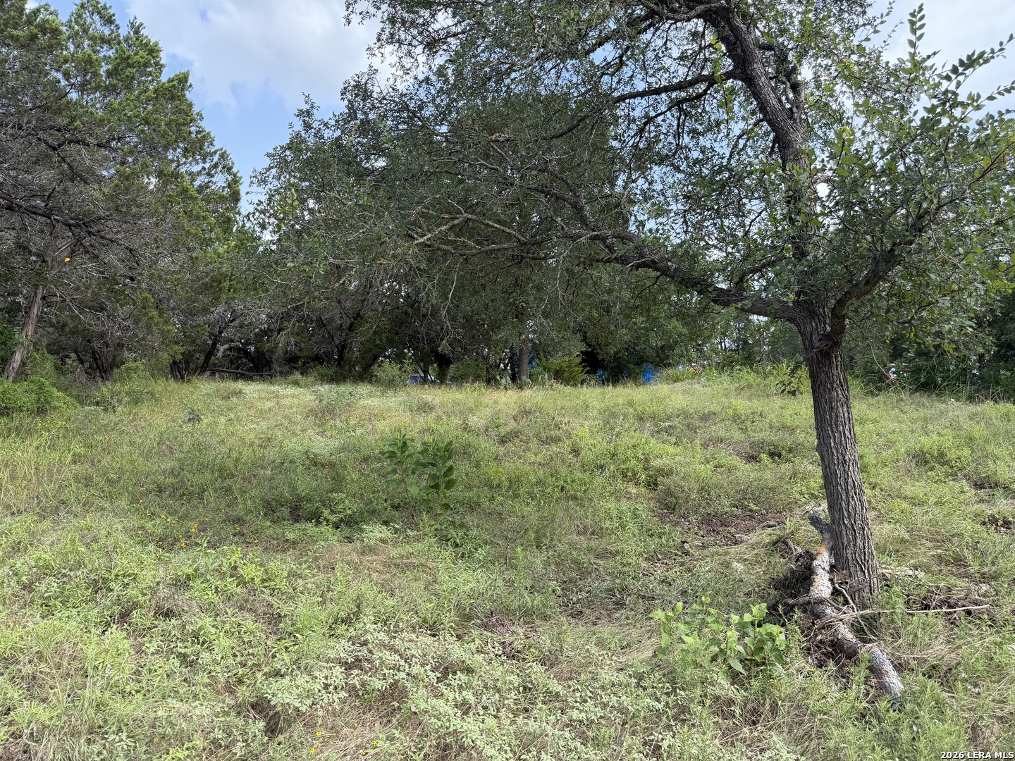 6936 Circle Oak Drive Bulverde TX 78163