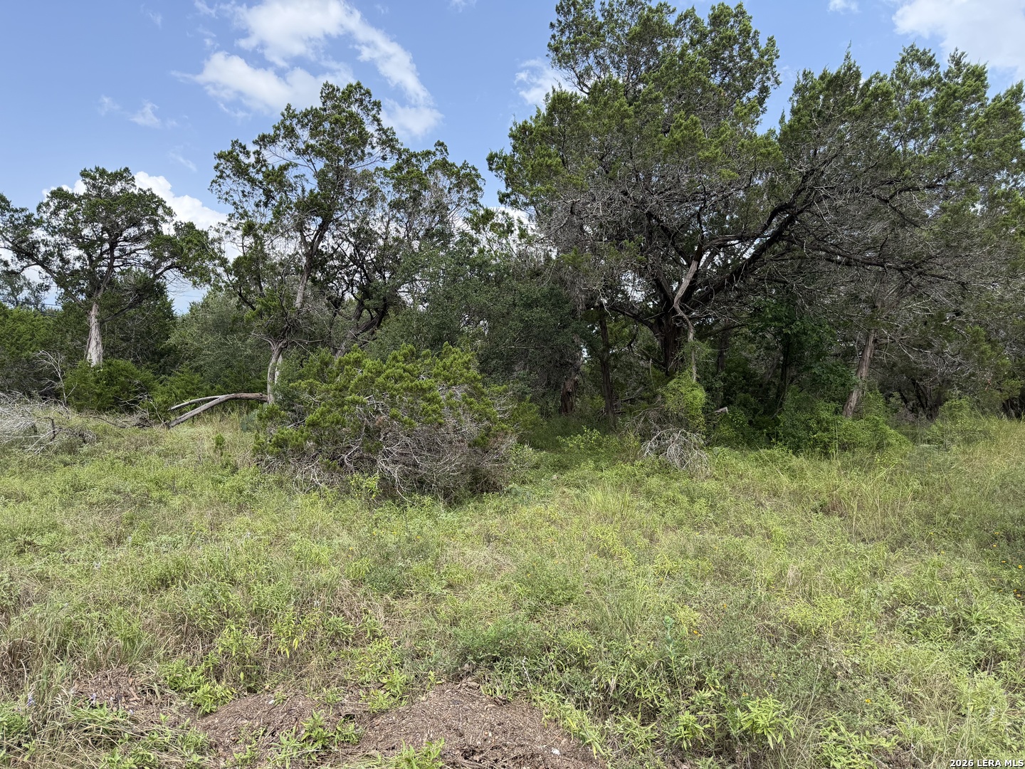 6936 Circle Oak Drive Bulverde TX 78163