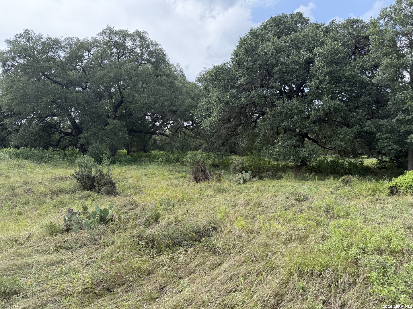 6936 Circle Oak Drive Bulverde TX 78163