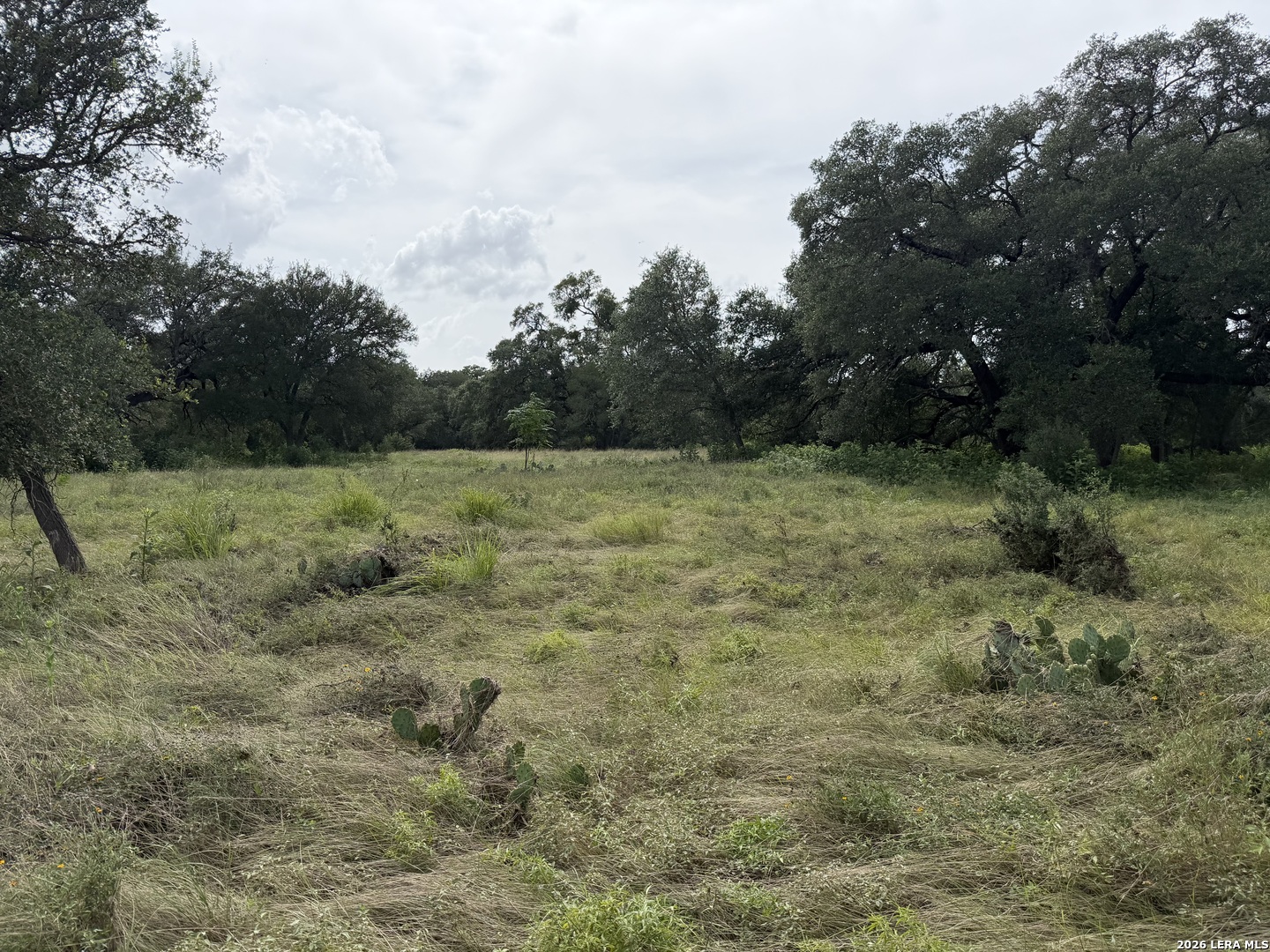 6936 Circle Oak Drive Bulverde TX 78163