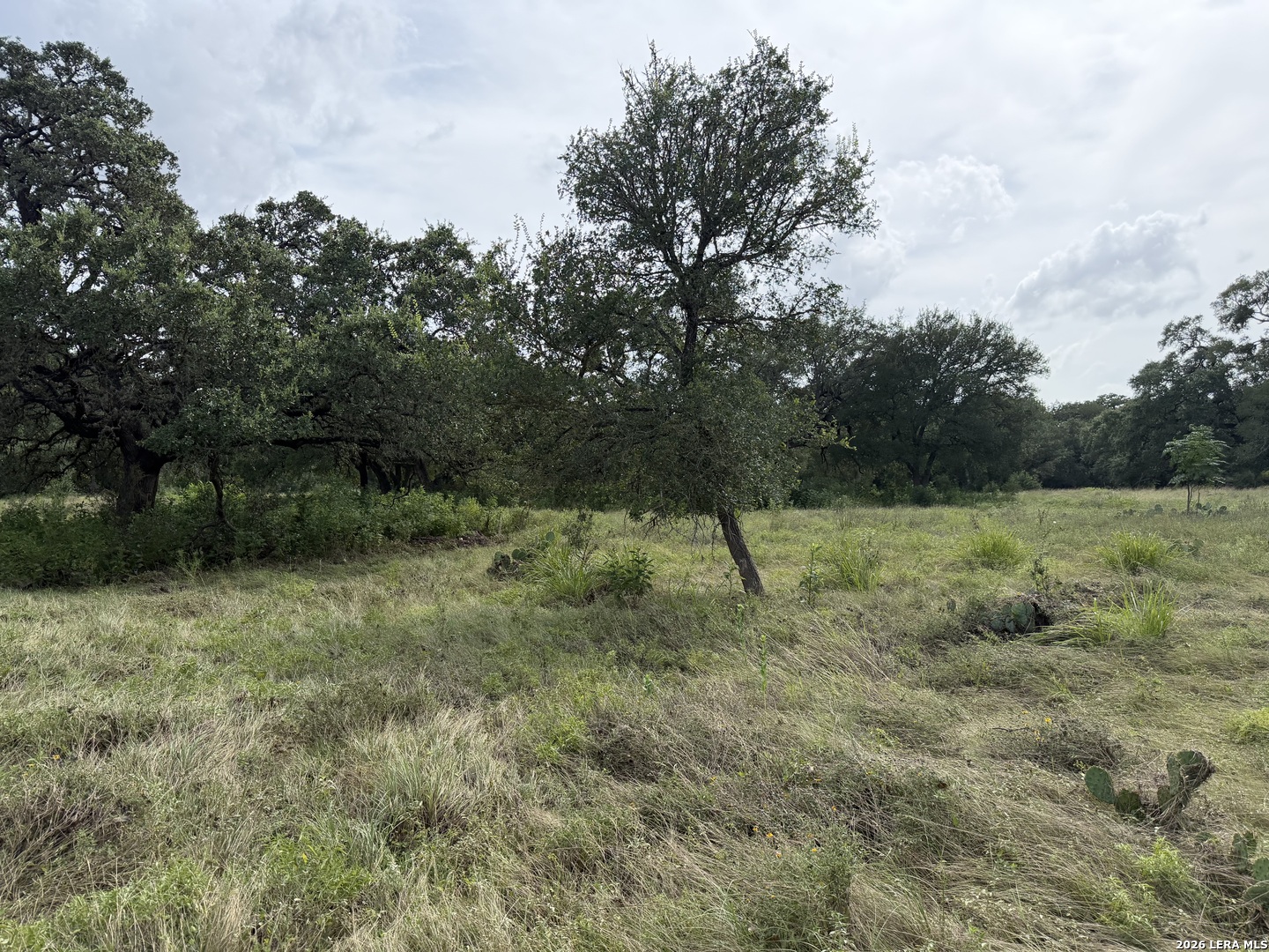 6936 Circle Oak Drive Bulverde TX 78163