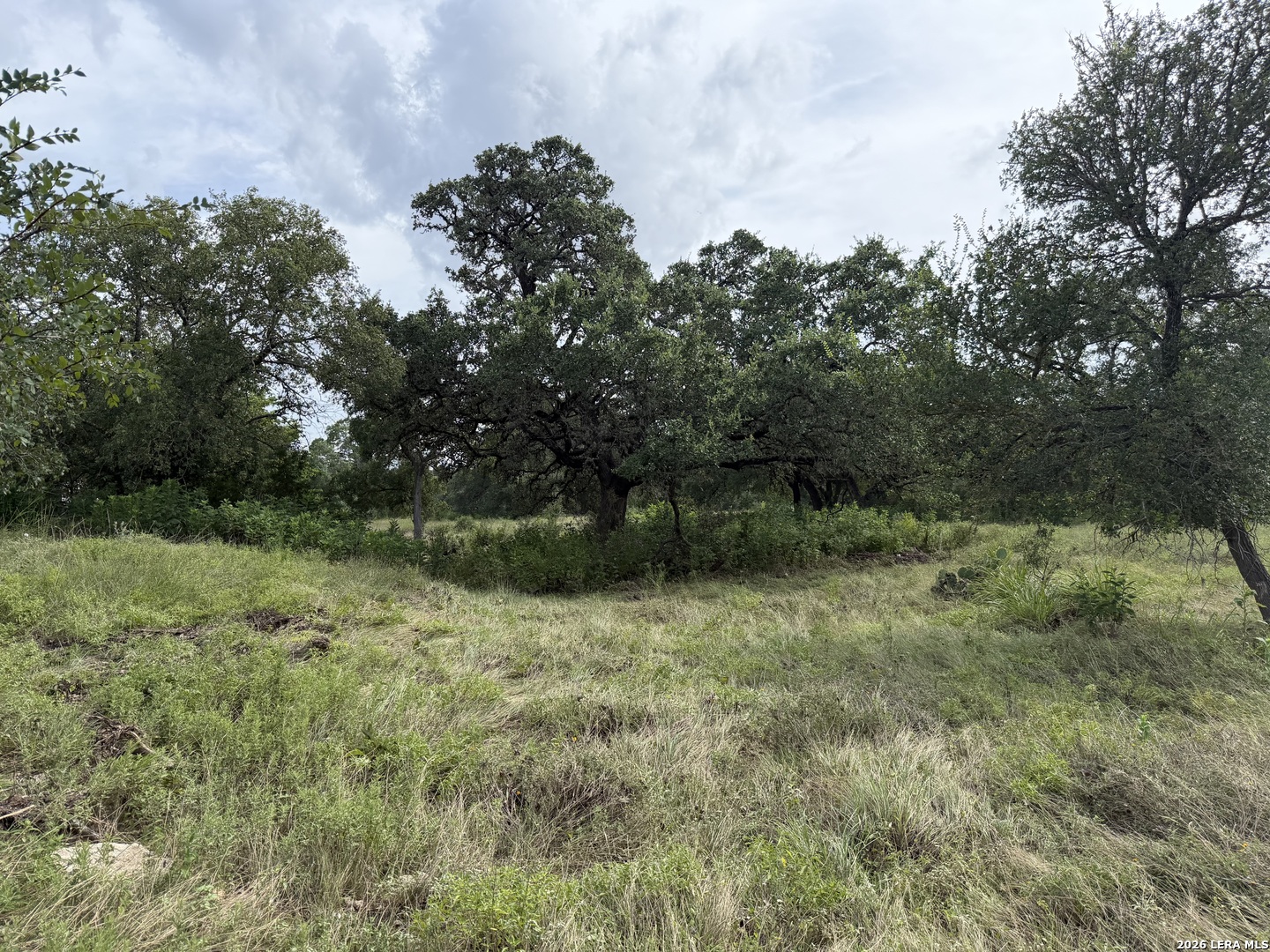 6936 Circle Oak Drive Bulverde TX 78163