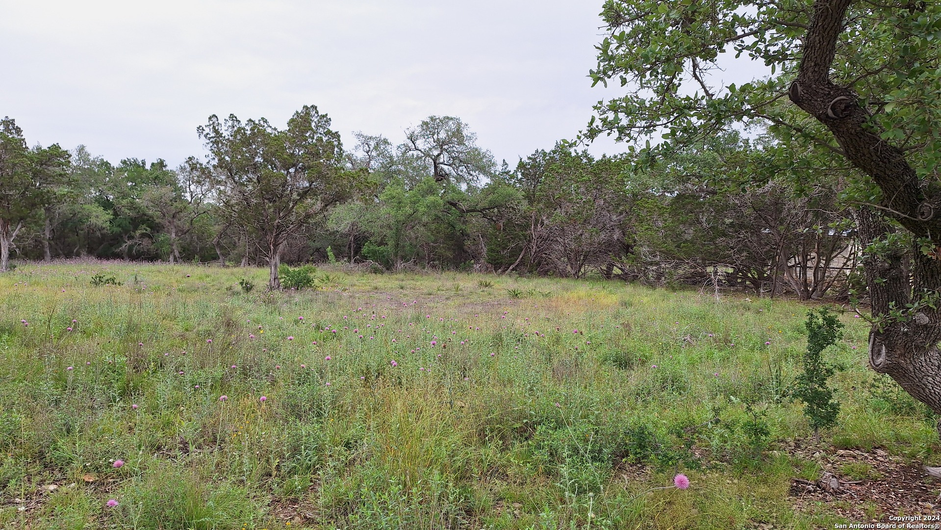 2118 Alto Lago Canyon Lake TX 78133