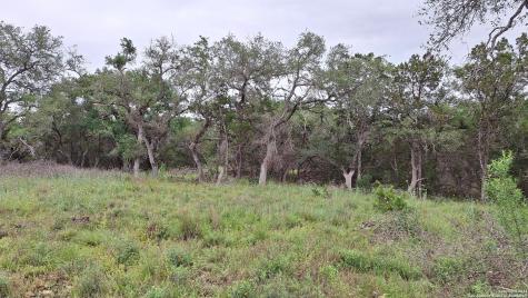 2118 Alto Lago Canyon Lake TX 78133