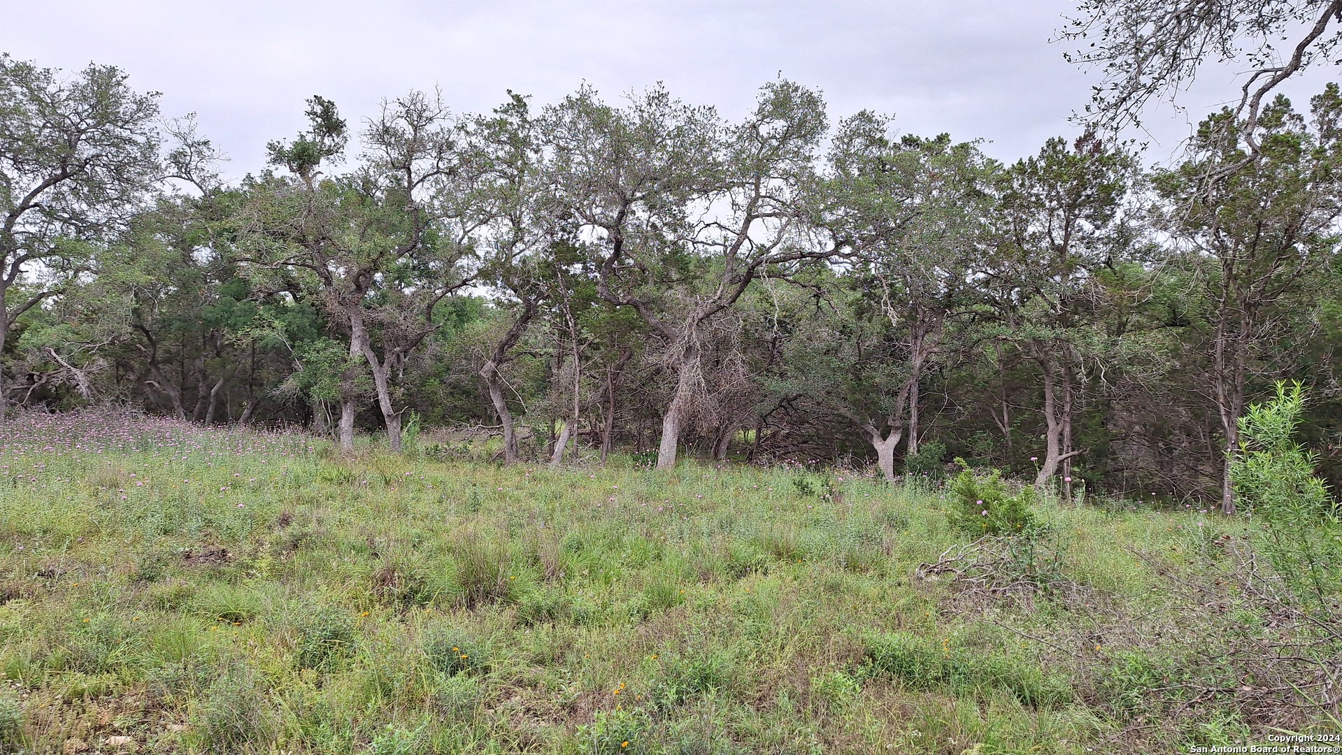2118 Alto Lago Canyon Lake TX 78133