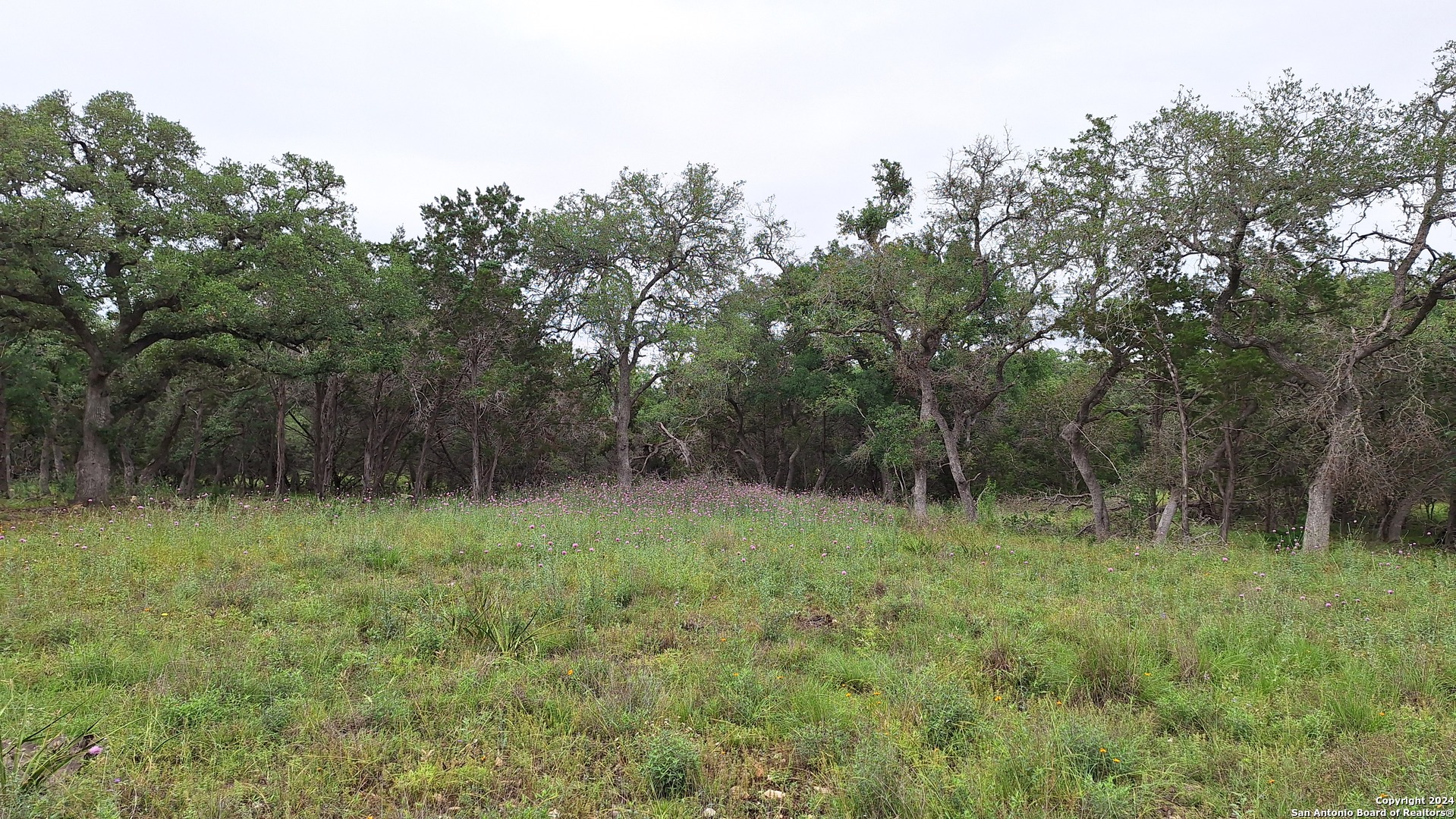 2118 Alto Lago Canyon Lake TX 78133