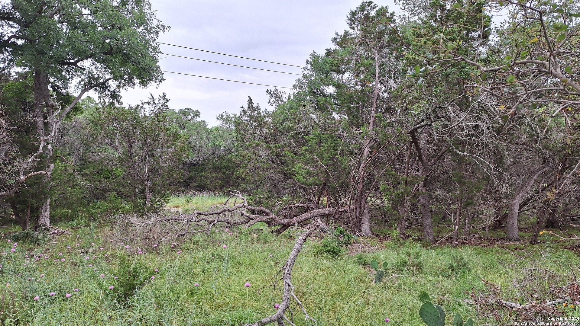 2118 Alto Lago Canyon Lake TX 78133