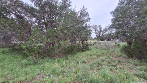 2118 Alto Lago Canyon Lake TX 78133