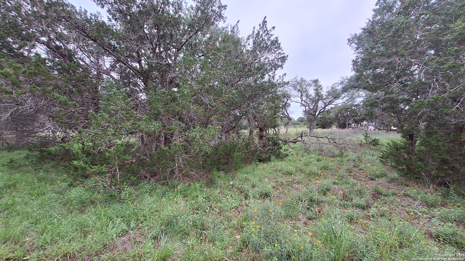 2118 Alto Lago Canyon Lake TX 78133