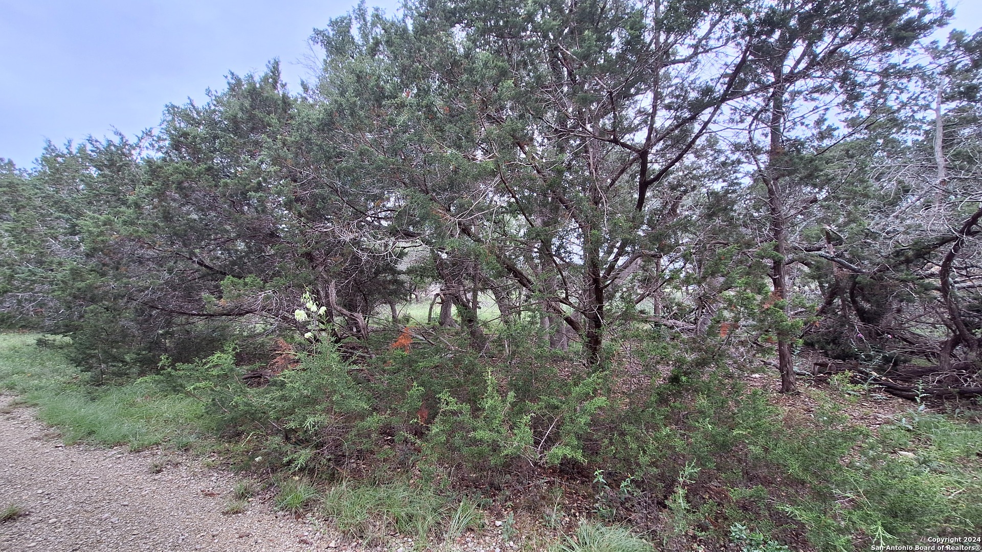 2118 Alto Lago Canyon Lake TX 78133