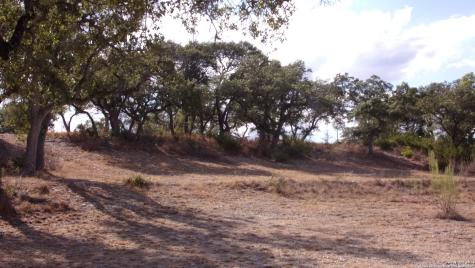184 Restless Wind Spring Branch TX 78070