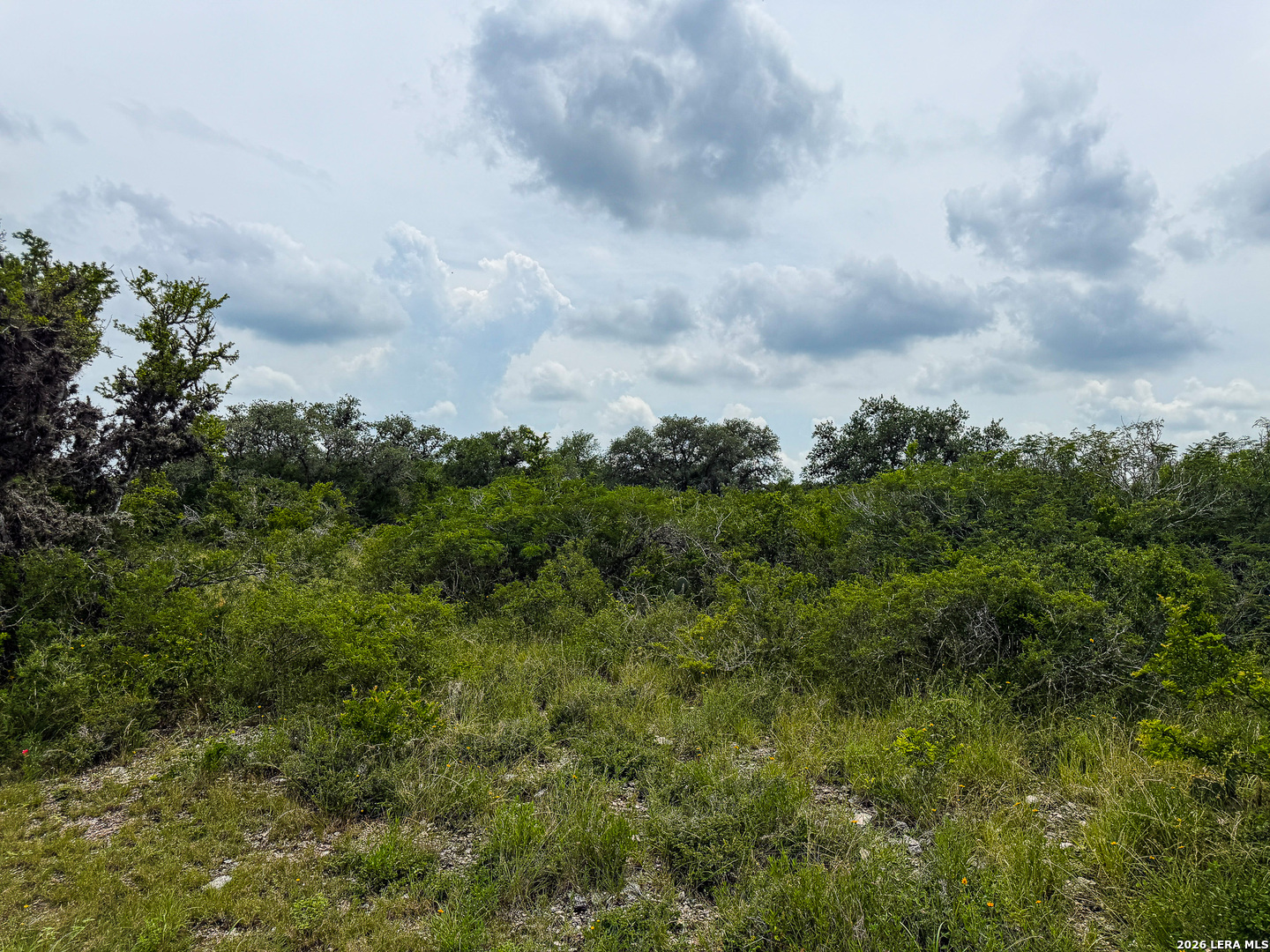 000 Lt 23 Yucca Trail Beeville TX 78071