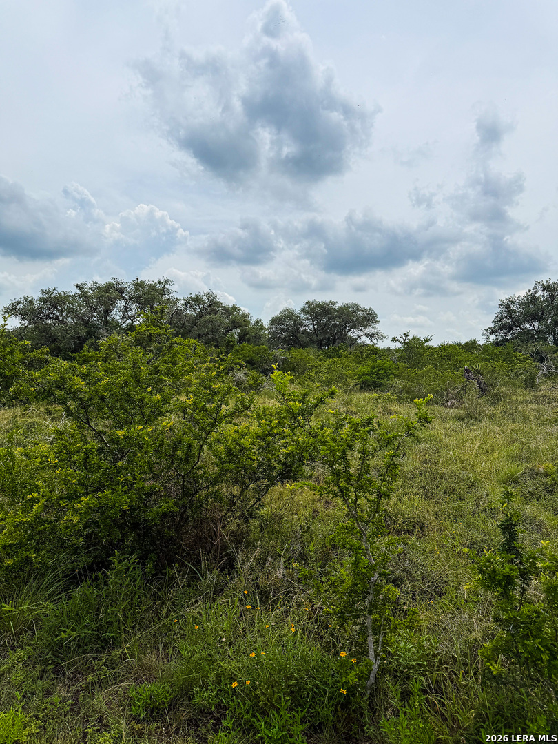 000 Lt 23 Yucca Trail Beeville TX 78071