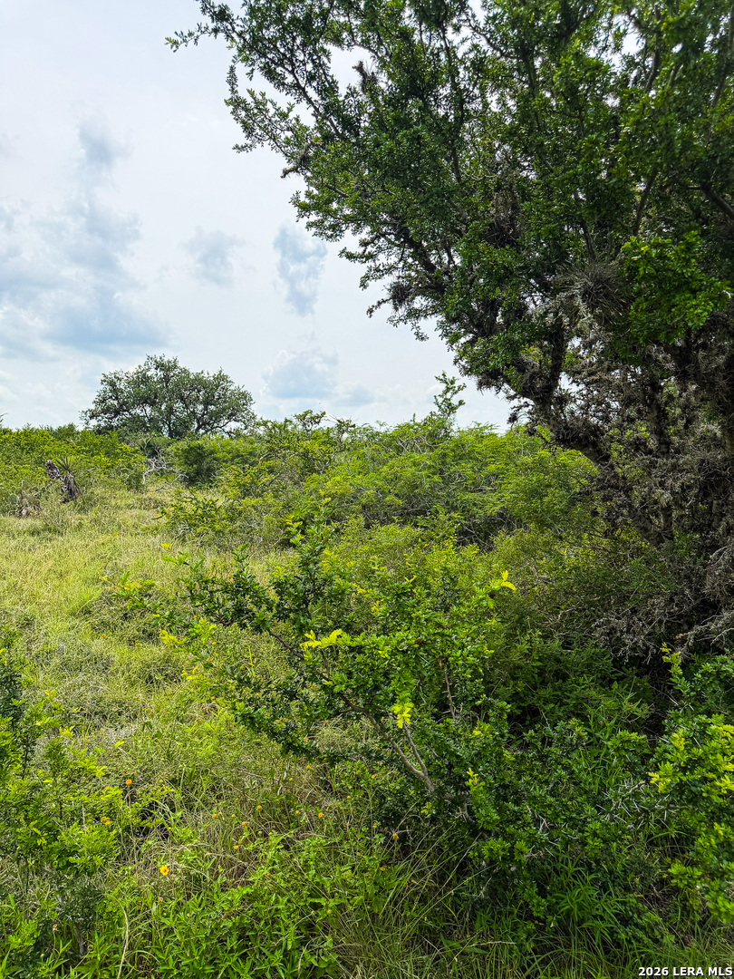 000 Lt 23 Yucca Trail Beeville TX 78071