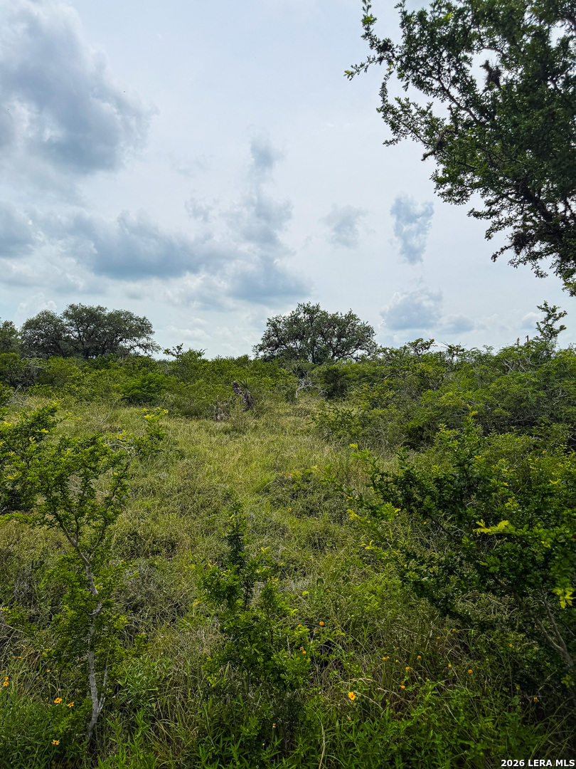 000 Lt 23 Yucca Trail Beeville TX 78071
