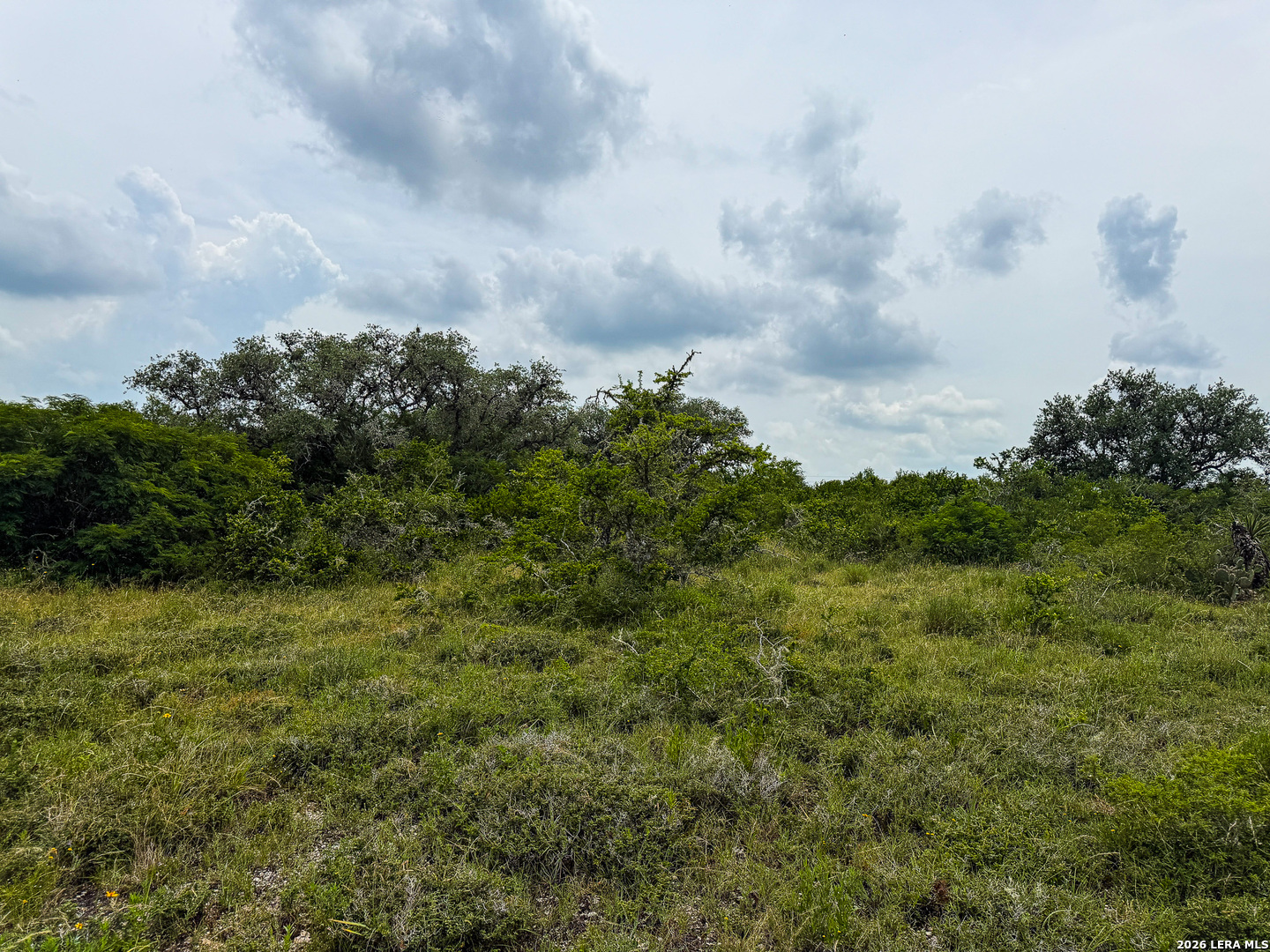 000 Lt 23 Yucca Trail Beeville TX 78071