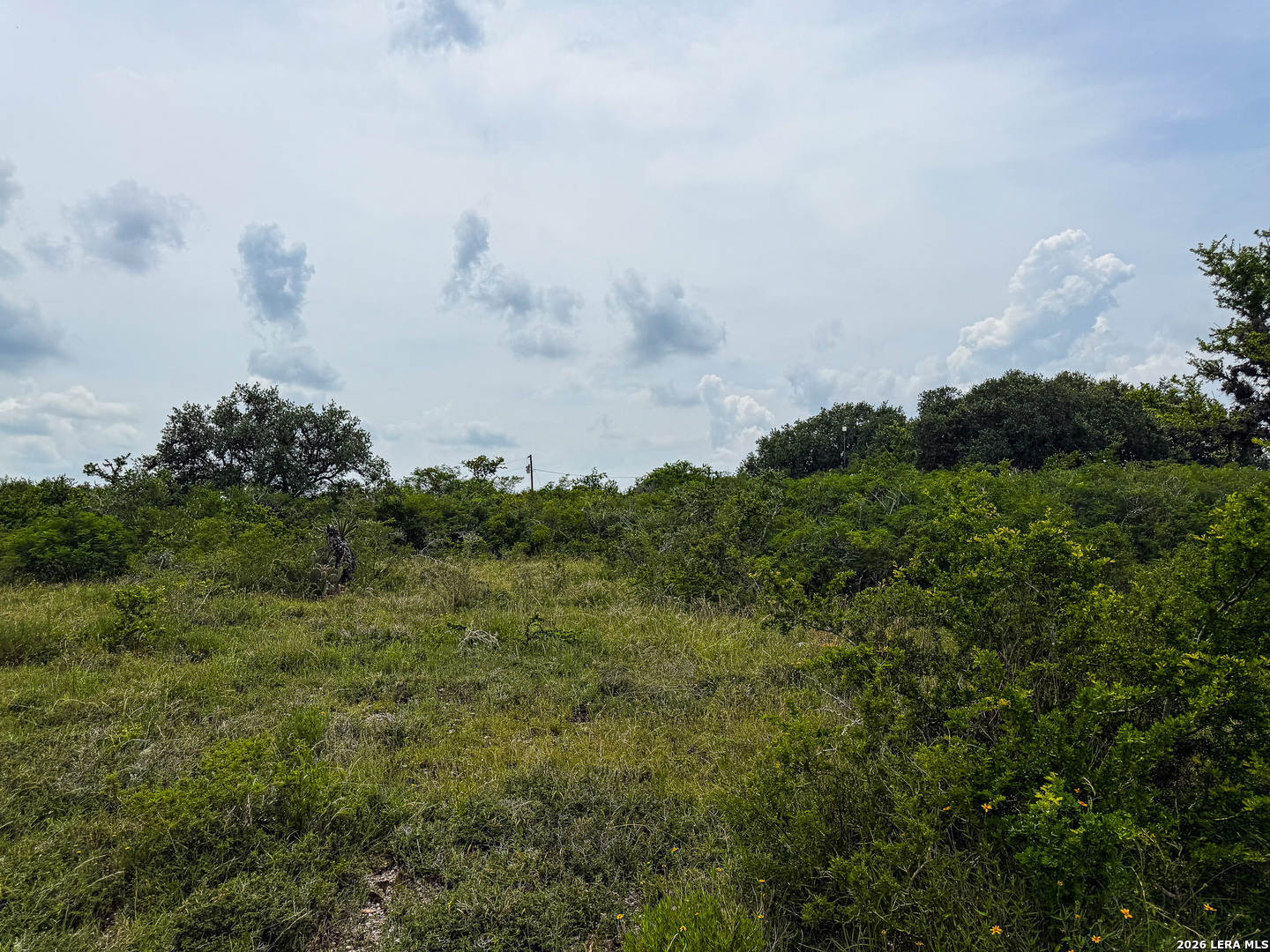 000 Lt 23 Yucca Trail Beeville TX 78071