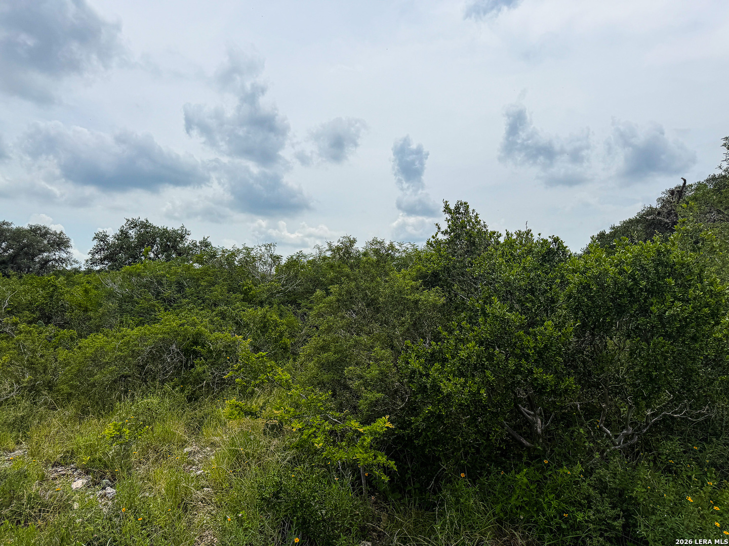 000 Lt 23 Yucca Trail Beeville TX 78071