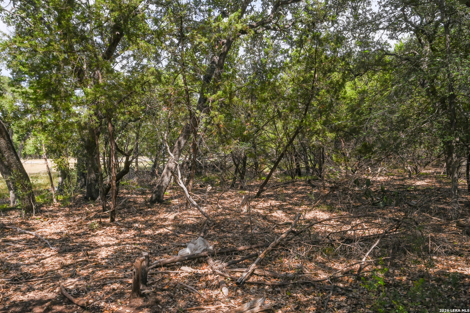 3009 Wellesley Key Shavano Park TX 78231