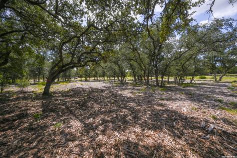 3009 Wellesley Key Shavano Park TX 78231