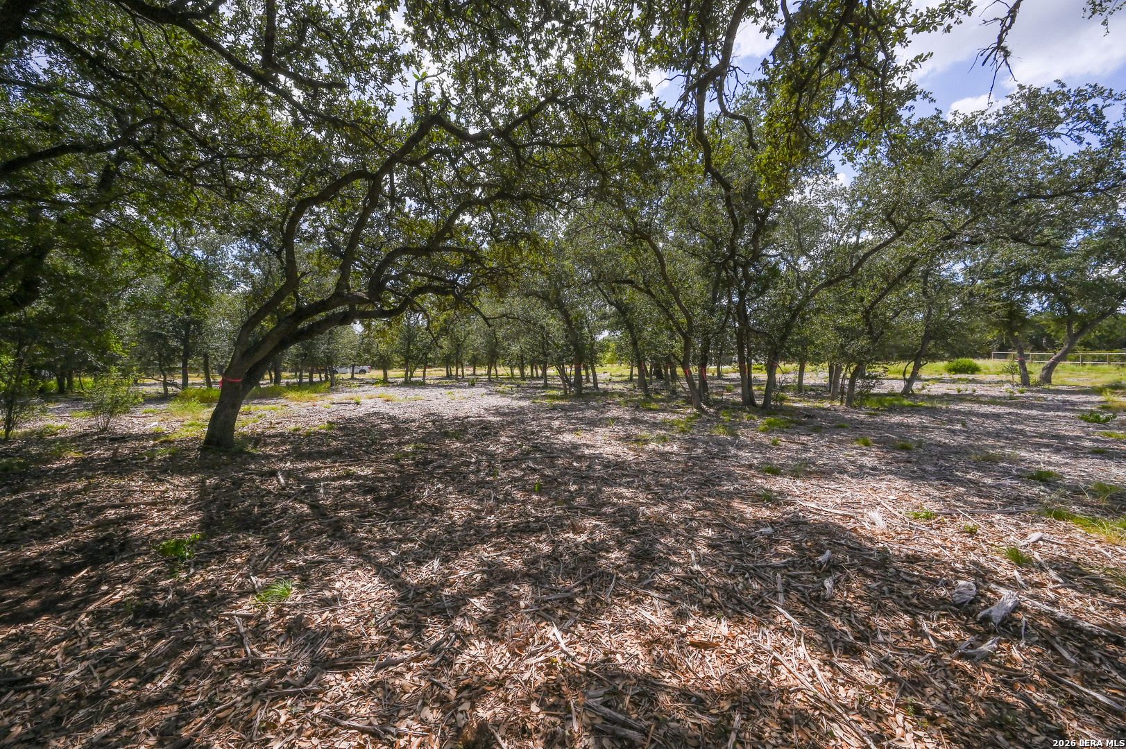 3009 Wellesley Key Shavano Park TX 78231