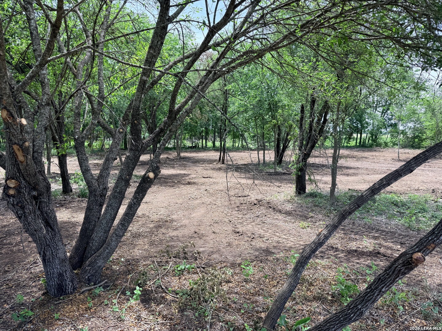 1 Acre Fm 471 Natalia TX 78059
